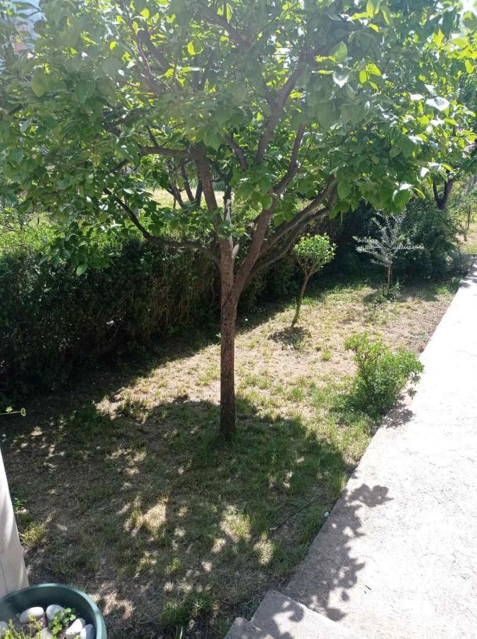 Apartment Ivan Kotor Bagian luar foto